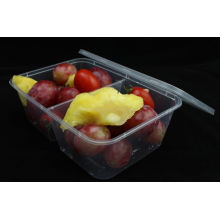 Microwave Disposable Plastic Take Away Bento Lunch Box with Lid